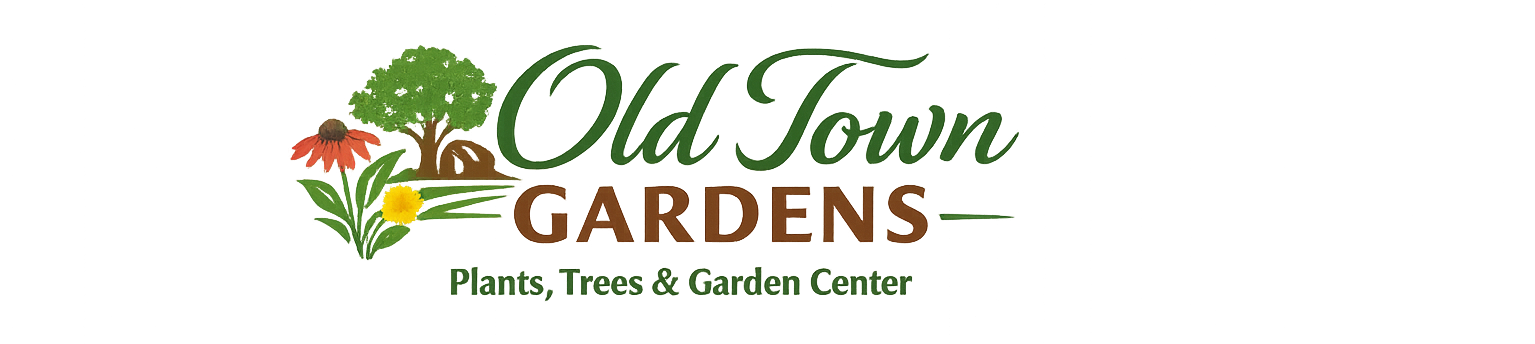 Old Town Gardens
